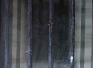 Florea, pupat dorsal de presă din bani publici, „pentru a-și spăla imaginea de impotent”