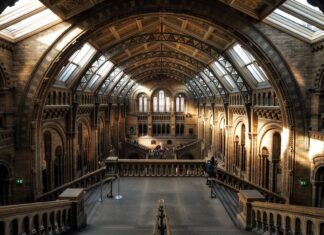 British Museum m-a lăsat să văd gratuit o parte de istorie