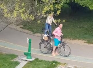 Prins cu mâța-n sac, Negoiță trece la păreri de rău, pioșenii și regrete