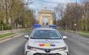 România lui Garcea: proxenet eliberat ”din greșeală”