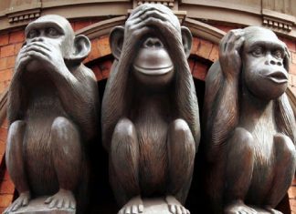 Variola maimuței face victime: Maimuțe lovite cu pietre și otrăvite în Brazilia 3 maimute