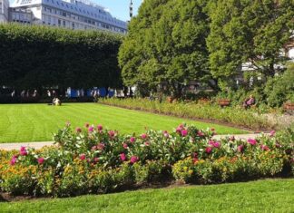 Constantin Toma și parcul transformat în sală de clasă