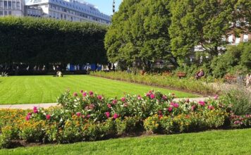Constantin Toma și parcul transformat în sală de clasă