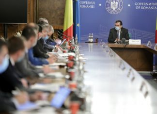 Orban o trimite pe Raluca Turcan pe teren