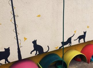 Daniela Călin și grădinița cu pisici din Galați