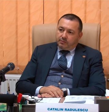 Rădulescu mitraliază Guvernul și acuză picajul economic