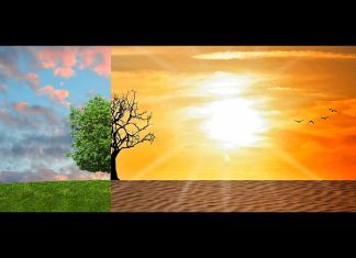 STUDIU: Schimbările climatice ar putea cauza milioane de decese în Europa, până în 2099