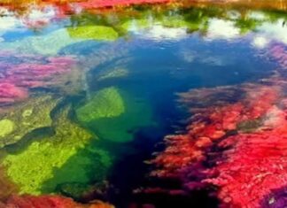 Crystal Spout. Sau frumusețea văzută de la distanță