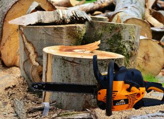 Declic face încă un pas pentru salvarea pădurilor