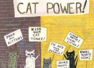 10 motive pentru care pisicile ar protesta