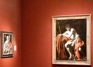 Pinguinii pot fi niște critici de artă pretențioși