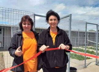 Ajutați-l pe Lăbuș să-l ajute pe Lăbuș! Adăpostul din Galați are nevoie de ajutorul nostru!