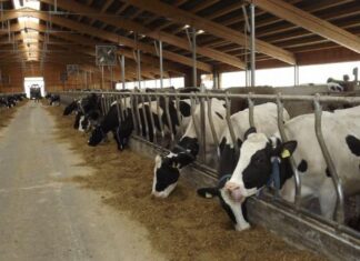 Fermierilor nu le miroase a bine. Pro Agro îi cere președintelui să nu promulge Legea mirosului