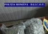 Flagrant în PTF Nădlag: un arădean a revenit cu peste un kilogram de canabis