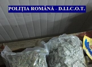Flagrant în PTF Nădlag: un arădean a revenit cu peste un kilogram de canabis