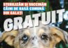 Animal Society derulează o campanie de educare și de sterilizări gratuite în Galați
