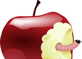 Politica gălățeană văzută subiectiv. (III)