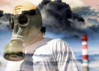 Și mirosurile au legea lor