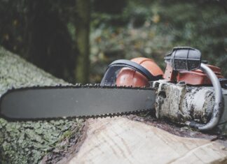 Mihai Goțiu: ”Mafia lemnului a dat lovitura în perioada de urgență”