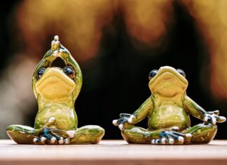 BOR își înfoaie patrafirul și interzice yoga