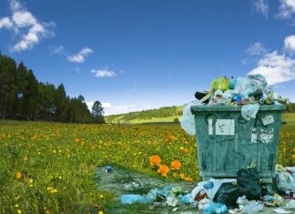 ONU, OMS și adevăratul responsabil pentru pandemii