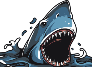 Politica gălățeană văzută subiectiv. (I)