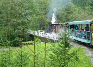 Mocănița poate fi salvată prin voluntariat