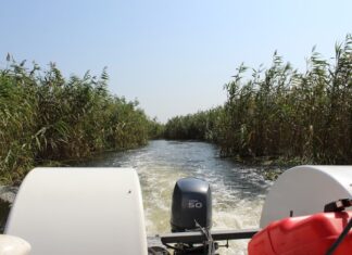 Minunea de la Comana: cea mai tânără deltă a Europei Delta Neajlovului