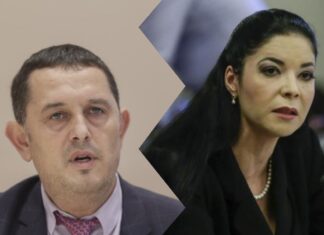 Birchall, despre Piperea: marioneta puterii de la Răsărit