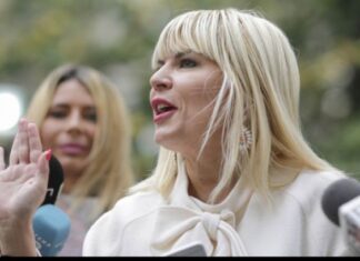 Udrea le întoarce „favoarea” celor de la DNA și reclamă „acuzații mincinoase”