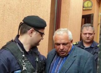 Nicușor Constantinescu, baron de Poarta Albă