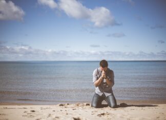 Despescu bagă miliția pe litoral (pentru un bronz sănătos)