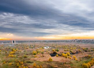Alexe dă Mediul pe CJ Iași și uită de Parcul Văcărești