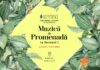 Bucureștiul pe note muzicale: ”Muzică de promenadă în Sectorul 1”
