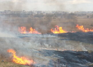 Autoritățile joacă leapșa și pasează vina după bunul plac. Țara incendiilor de vegetație și a nepăsării