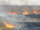 Autoritățile joacă leapșa și pasează vina după bunul plac. Țara incendiilor de vegetație și a nepăsării