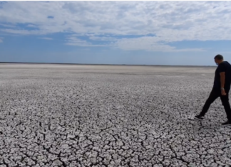 Bogdan Bola și Delta Dunării: lacul secat și geografia distrusă