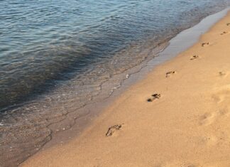 Proiect: 840 milioane de euro pentru modernizarea litoralului românesc Litoral România