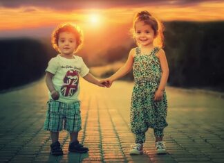 USR încearcă să schimbe România – împotriva voinței ei