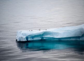 Winston Peters: Antarctica, singurul continent fără coronavirus