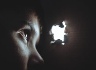 Avocații pedofililor apără și păzesc. Firea face apel