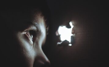 Avocații pedofililor apără și păzesc. Firea face apel