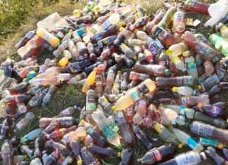 Bonțida e verde. Un verde toxic, ca o sticlă de Sprite