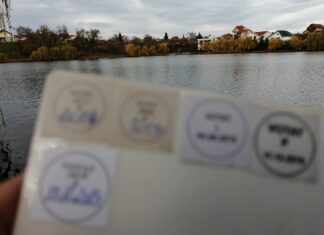 Ziua „Z”, rațiune și simțire