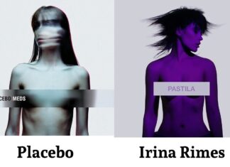 Irina Rimes: plagiat sau inspirație?