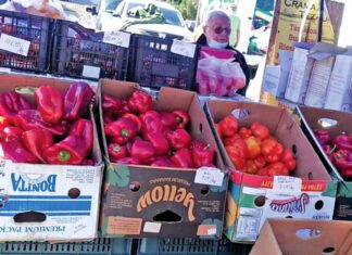 O nouă afacere a lui Arșinel: piața din București