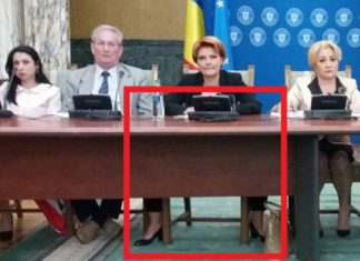 Vasilescu, prea „frumoasă” și „feminină” pentru limbajul deșănțat al zilelor noastre