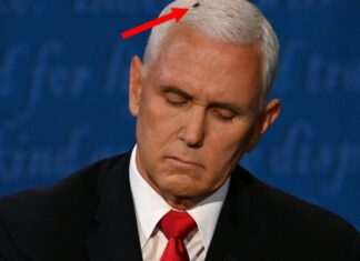 Vicepreședintele american Mike Pence, bâzâit de muște la confruntarea cu Kamala Harris