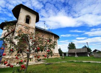 „Artă și Patrimoniu”, o salbă de 48 de episoade de frumos