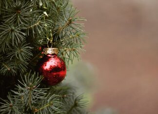 Turist în dormitor: De Crăciun, fii mai bun și stai acasă Crăciun